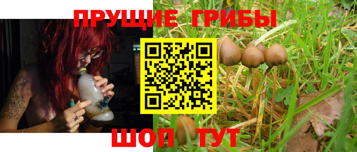 Лыткарино  Псилоцибиновые грибы ЛСД  Вход с VPN 